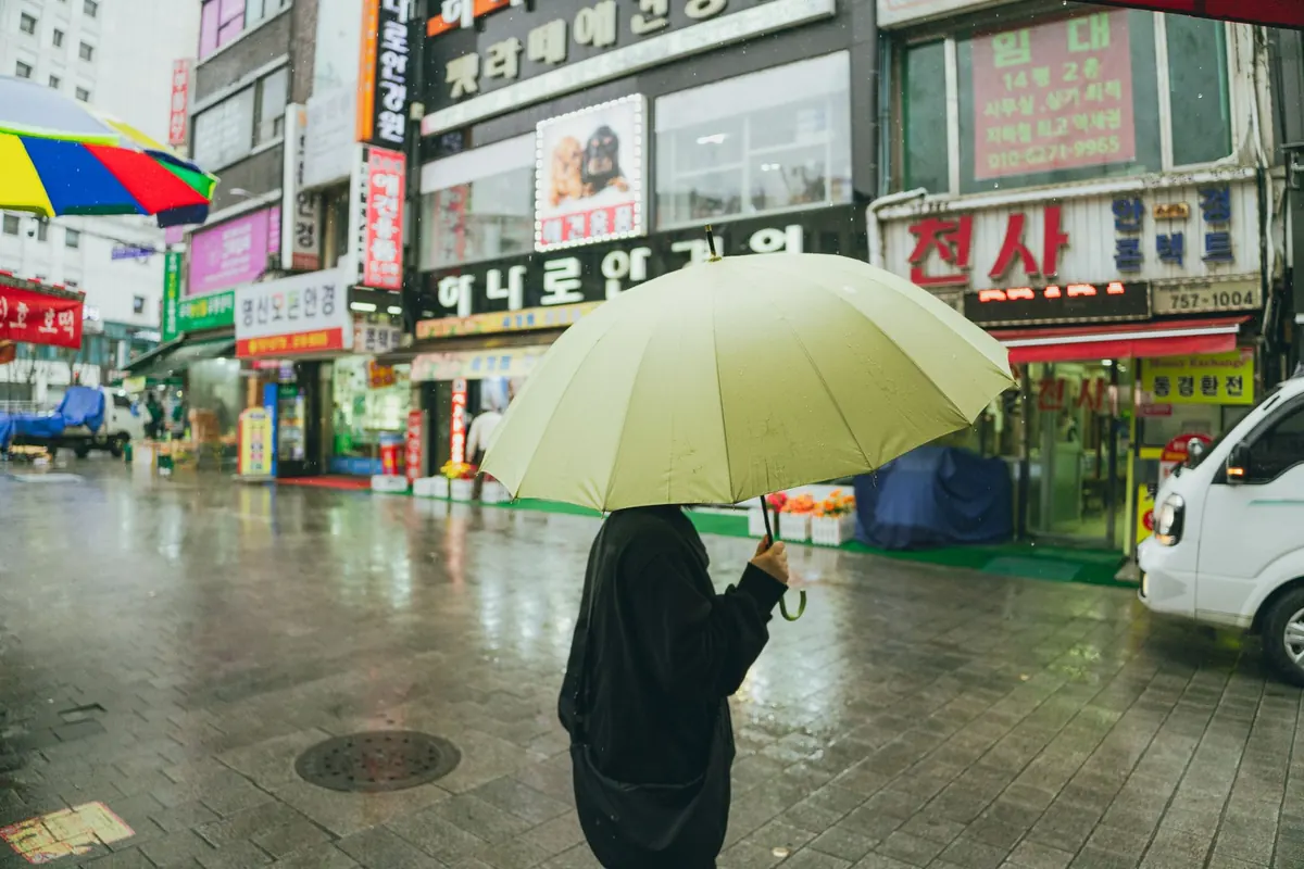 Seasonal Guide: Best Compact Umbrellas for Spring Showers